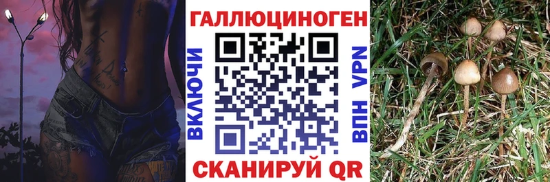 Псилоцибиновые грибы мицелий Лихославль